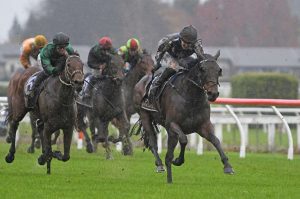 Poser relishes conditions at Te Rapa