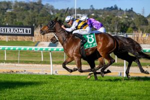 Regal Lion causes boilover in Ipswich Cup