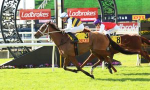 Selino returns to winners circle with strong Brisbane Cup win