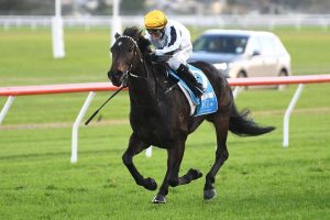 Reece Cole scores first win as trainer