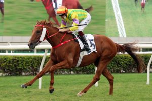 Frankie Lor chases Hong Kong Reunification Cup with Sword Point