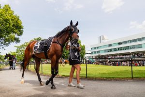 NZTR announce significant prizemoney increase