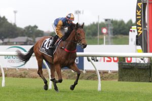 The Racketeer to line up in Gunsynd Classic