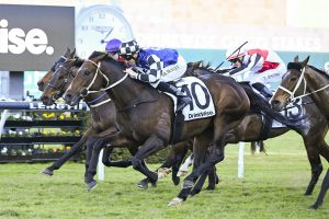 Ucalledit salutes in Civic Stakes