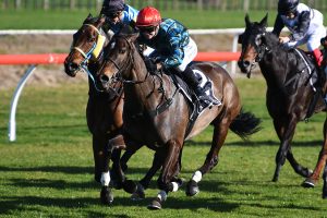 Cork chasing overdue Stakes success