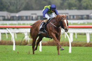 Caitlyns Wish relishes heavy Te Tapa conditions