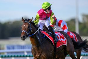 Knight's Choice gives his rivals a galloping lesson in Winx Guineas