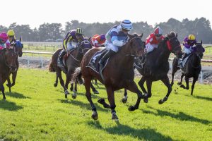 Louie Louie claims spot in Group 3 Winter Cup