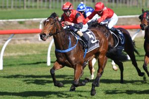 Lovearoadie impresses with maiden success