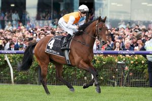 Hill Stakes attracts classy field of 14 runners