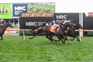 Craig Williams targets third triumph in Lawrence Stakes