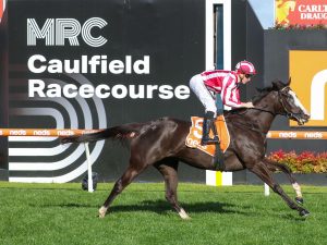 Our Red Morning shines brightly at Caulfield