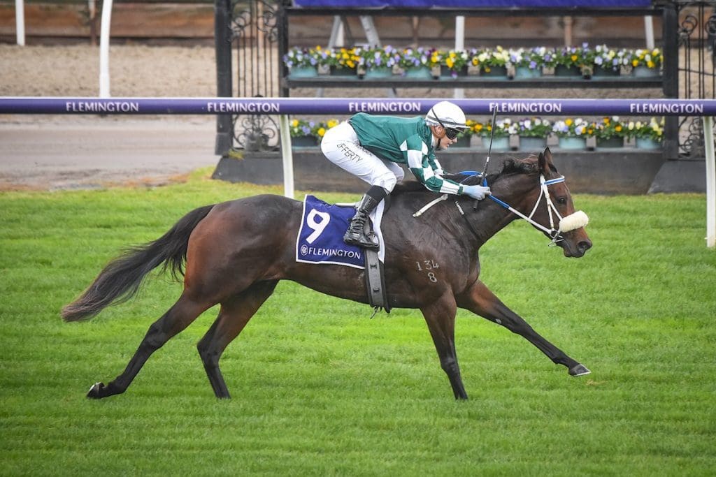 Sir John Monash Stakes - BOAY Racing News - Bit Of A Yarn