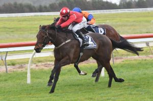 Sulabella leads home training double for Bradley