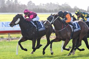 Whiskey Lies leads home stable quinella
