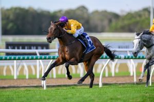 Zoumon leads all the way in Caloundra Cup victory