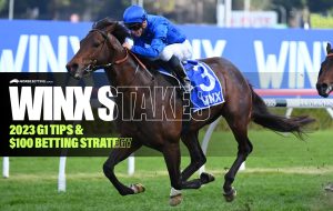 Winx Stakes tips