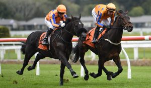 Te Akau stars impress in Te Rapa exhibition gallop