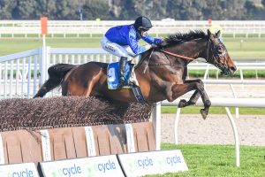 Brungle Bertie causes upset in Grand National Steeplechase