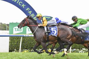 Ceolwulf to chase Group glory after Warwick Farm win