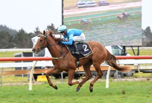 Crocetti primed for final Guineas warmup
