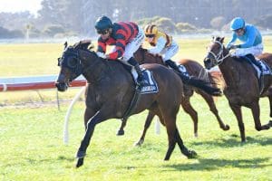 Dragon Leap makes emphatic spring statement