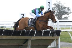 Happy Star primed for Grand National Hurdles defence
