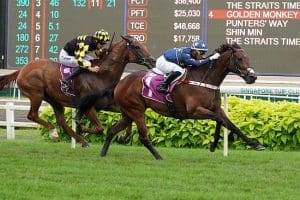 Lim's Kosciuszko goes back-to-back in Lion City Cup