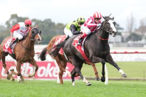 Our Red Morning impresses at Sandown