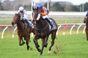Quirky Habits looking to avenge last start defeat
