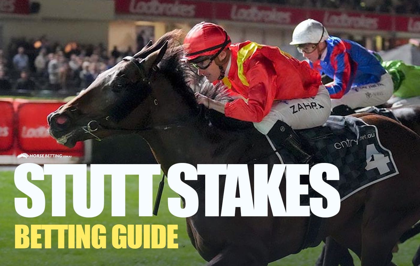 Stutt Stakes 2024 Betting Guide Field News Odds Winners