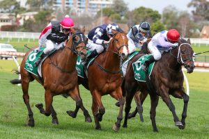 Deserved Stakes success for Savannah Cloud