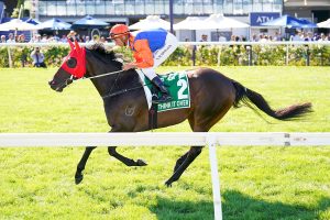 Think It Over set for Apollo Stakes return