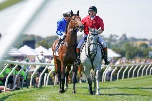 Tom Kitten set to return in Up And Coming Stakes