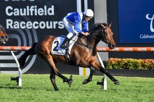 Alligator Blood claims Group 1 Underwood Stakes