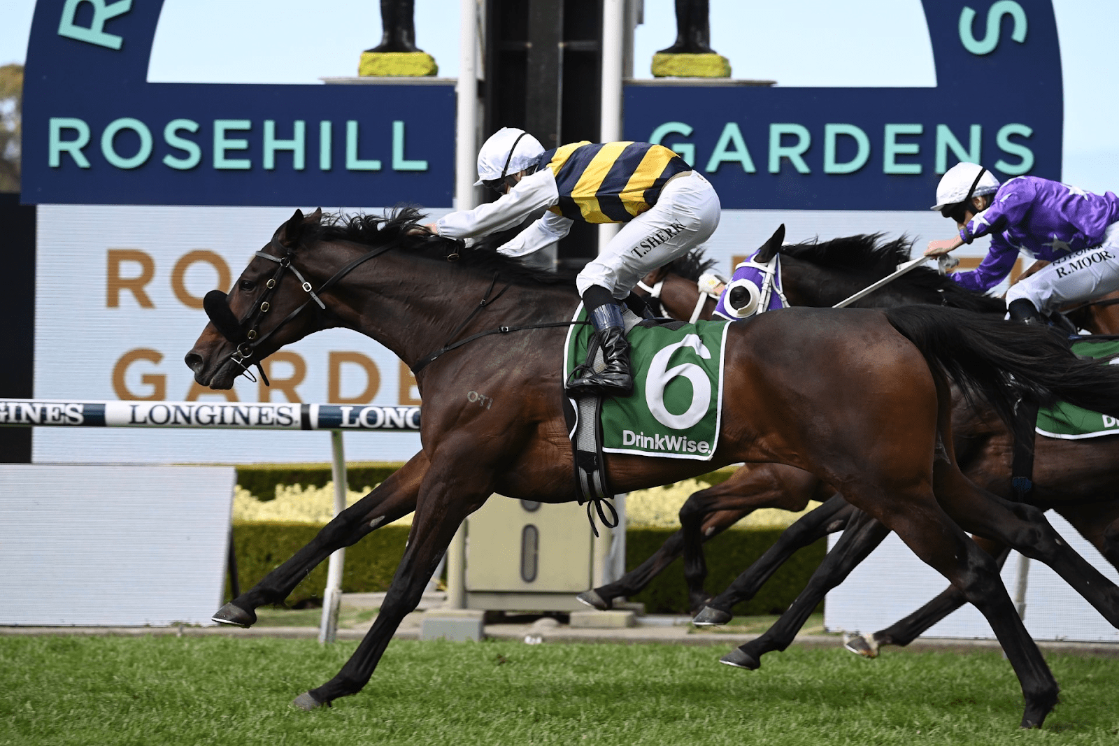 Archer Stakes 2023: Athabascan Favourite In Final Cup Qualifier