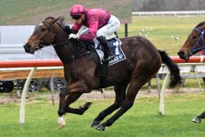 Youth to the fore for Rae-Williams stable at Riccarton
