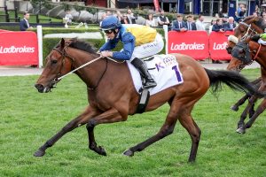 Golden Rose favourite draws tricky barrier
