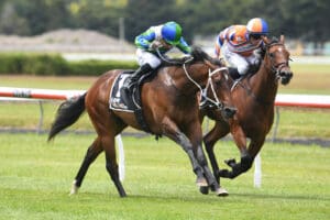 Marsh’s Guineas hopes well but ground an issue
