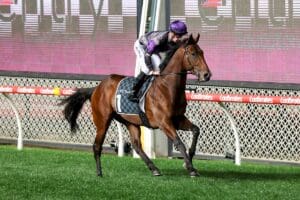 Griff set to return in Group 3 Eskimo Prince Stakes at Randwick