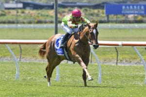 Te Rapa best option for smart filly Impendabelle
