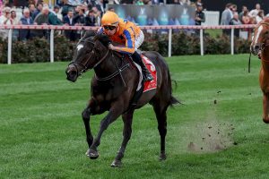 Imperatriz to face six rivals in Manikato Stakes