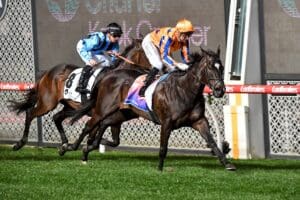 Imperatriz claims another Group 1 victory in Moir Stakes