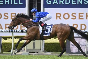 Marquess thrashes rivals at Rosehill