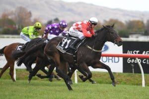 Orchestral ruled out of New Zealand 1000 Guineas