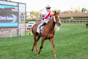 Pinstriped secures Cox Plate spot in Feehan Stakes triumph