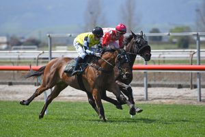 Prowess to be aimed towards Champions Stakes at Flemington