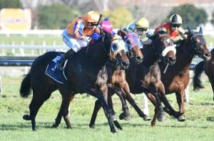 Quintessa takes out Group 3 Gold Trail Stakes