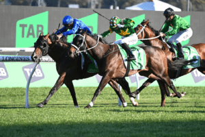 Waller quinellas Epsom as Rediener, Kovalica fight out finish