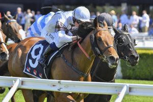 Satness to chase rich purse at Rosehill